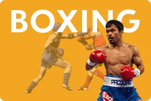 zapak-boxing