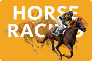 zapak-horse