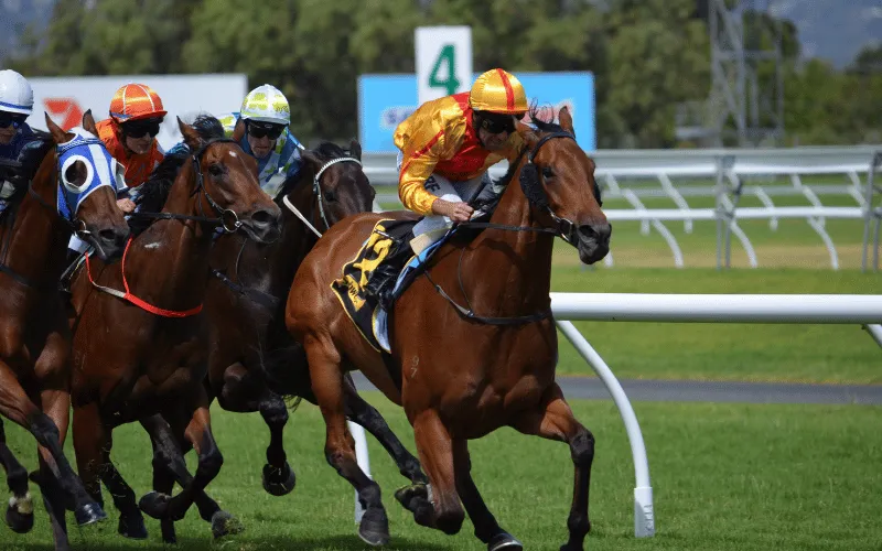 Indian Horse Race