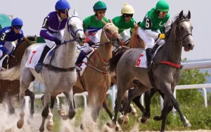 Indian Horse Race