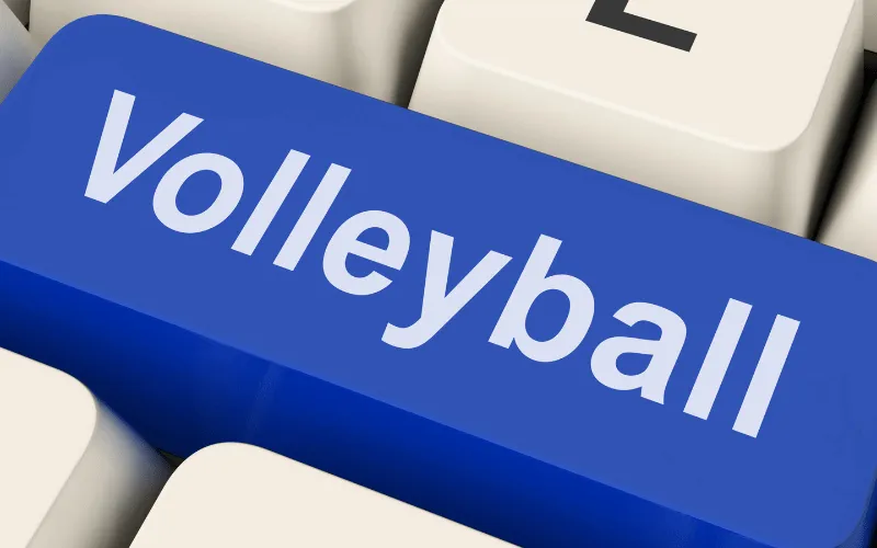 Volleyball Game